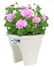 elho corsica flower bridge 30cm - weiss Produktbild-Vorschau 5