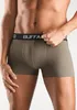 Buffalo Boxer Boxershorts für Herren 4 -teilig bordeaux, Produktbild-Vorschau 6