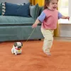 Hondenuitlaatspeelgoed: Ga wandelen met je hondje (trek- en Productafbeelding-voorbeeld 15