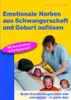 Emotionale Narben aus Schwangerschaft und Geburt auflösen Náhled obrázku produktu 1