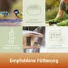 A collage of images showing birds feeding, a bird feeder, and cleaning a bird feeder, with text about recommended feeding. Produktbild-Vorschau