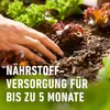 COMPO  Universal Langzeit-Dünger mit Schafwolle 2 kg Produktbild-Vorschau 11
