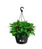 Green Basic Hängeampel lebhaft schwarz, Ø 28 cm Produktbild-Vorschau 6