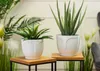 HowHomely Blumentopf Zoe 16 cm Höhe, Pflanzkübel, Weiß Produktbild-Vorschau 2