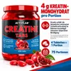 Creatine Tabs 300 Tabletten – Kreatin-Monohydrat Tabletten Produktbild-Vorschau 2