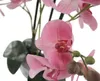 Kunst-Pflanze Orchidee ovaler Topf weiß hochglanz und rosa Produktbild-Vorschau 2