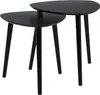 H&S Decoration | Set di tavolini - Set di 2 - Nero - Design Anteprima dell’immagine prodotto 1