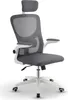 A studio shot of a gray and white ergonomic office chair with a headrest and adjustable armrests, presented on a white background.