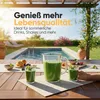 A blender filled with green smoothie sits on a wooden table next to a swimming pool, with lounge chairs and lush greenery in the background. Produktbild-Vorschau