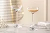 LEONARDO Poesia, Likörglas, 90 ml, Glas, Transparent, 70 Produktbild-Vorschau 10