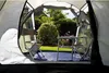 Coleman Coastline 3 Plus grün 3-Personen-Campingzelt Produktbild-Vorschau 4