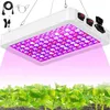 192 LED's, volspectrum plantlamp, rood en blauw Productafbeelding-voorbeeld 1