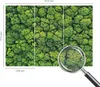 Samolepicí fototapeta – nástěnné malby do obývacího pokoje Náhled obrázku produktu 4