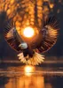 Art puzzle - Puzzle Wings of the Sun - 1000 dielov Produktbild-Vorschau 1