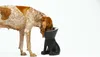 Ciotola per cani United Pets Up Elisabeth Nero Acciaio inox Anteprima dell’immagine prodotto 2