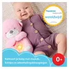 Fisher-Price Baby-Spielzeug Schlummer-Otter Voir les images du produit 4
