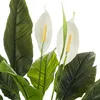 hjh OFFICE Kunstpflanze Spathiphyllum 1 Künstliche Pflanze Produktbild-Vorschau 1