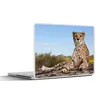 MuchoWow® Laptop Aufkleber Sticker Cover Leopard - Tiere - Produktbild-Vorschau 1