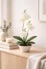 Orchidée artificielle blanche en pot, 30 cm – Orchidée Voir les images du produit 2