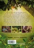 Ein Mädchen namens Willow: Das Buch zum Film Produktbild-Vorschau 2
