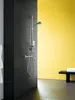 Sprchový termostat hansgrohe Ecostat 13116000 chróm Náhľad obrázku produktu 2