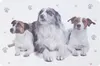 8-tlg. Set Platzset Tiere mit Hunden und Katzen - 43,5 x Produktbild-Vorschau 3
