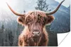 MuchoWow® Poster Schottischer Hochländer - Kuh - Tiere - Produktbild-Vorschau 1