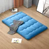 A blue floor mattress is laid out on a wooden floor, with a folded blanket and an open book placed on it. Produktbild-Vorschau