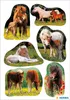 HERMA Sticker DECOR "Pferdefotos" 3 Blatt à 6 Sticker Produktbild-Vorschau 3
