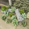 Simulation Sukkulente verblasst nicht realistisch Produktbild-Vorschau 8