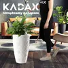 KADAX Pot de fleurs avec insert "Jesi", bac à plantes en Voir les images du produit 2