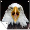 MuchoWow® Produktbild-Vorschau 1