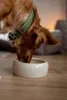 Nobby Keramik Futtertrog Hunde Katzen 1000 ml Creme Produktbild-Vorschau 5