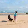 Relaxdays Ballschleuder für Hunde, 2er Set Ballwerfer, Produktbild-Vorschau 3