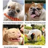A collage of four images of dogs, each with a caption below. Produktbild-Vorschau