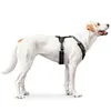 Hunter Maldon, Hund, Halftergeschirr, XS, Schwarz, Grau, Produktbild-Vorschau 7