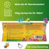 Greenyp Sommer Blumenmischung I 100g für 100m² I Produktbild-Vorschau 2