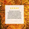 MuchoWow® - Leinwandbilder - Wald - Herbst - Jahreszeiten - Produktbild-Vorschau 8