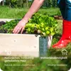 A person is planting in a wooden raised garden bed outdoors. Voir les images du produit