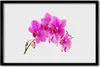 Bild 60x40 MDF-Rahmen Wandkunst Orchid Blume Orchidee Produktbild-Vorschau 1