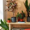 B.For Měkký kulatý potah - antracit 18 cm Náhled obrázku produktu 3