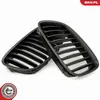 ESEN SKV 66SKV177 Kühlergrill Frontgrill für BMW 5 GT (F07) Produktbild-Vorschau 3