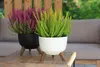 Two potted plants, one with pink flowers and one with green foliage, sit on a wooden table in an outdoor setting. Náhled obrázku produktu