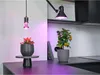 La lampada per piante OSRAM LED Star con filamento e base Anteprima dell’immagine prodotto 7
