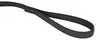 IDC Color & Gray gumierte Leine, 20 mm x 3 m mit Schlaufe, Produktbild-Vorschau 2