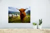 MuchoWow® Poster Schottisches Hochlandrind - Leicht - Schaf Produktbild-Vorschau 5