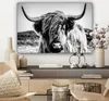 MuchoWow® - Leinwandbilder - Schottischer Highlander - Produktbild-Vorschau 7