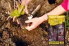 Heidekrauterde 20 l - Hochwertig - Nährstoffreich - Für Produktbild-Vorschau 4