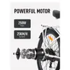 X-CITY Miejski rower elektryczny, 250W, rama aluminiowa, Podgląd zdjęcia produktu 11