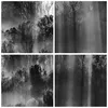 Poster - Poster ohne Rahmen - Bäume drinnen Nebel - 40x40 Produktbild-Vorschau 8